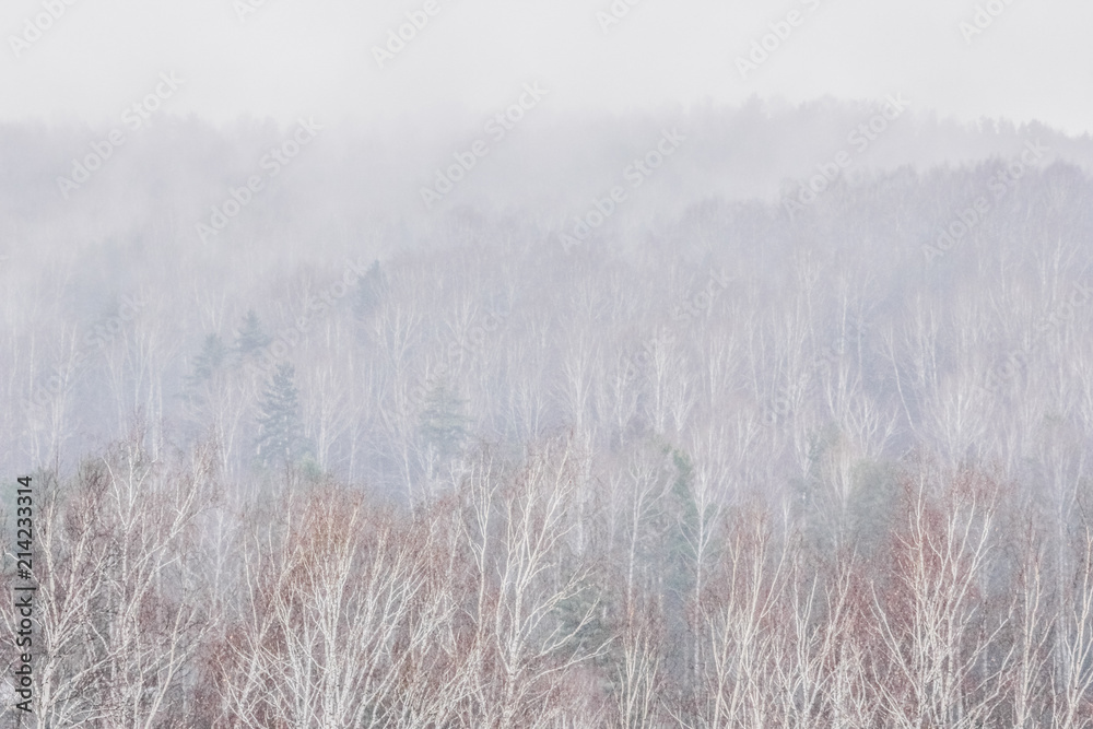 Obraz premium Krasnoyarsk