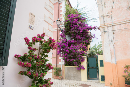 Fototapeta Naklejka Na Ścianę i Meble -  Beautiful street decorated with flowers in Italy