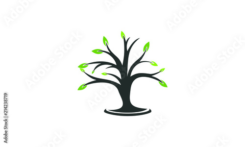 plant garden vector