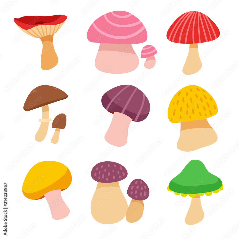mushroom vector collection design mushroom vector collection design