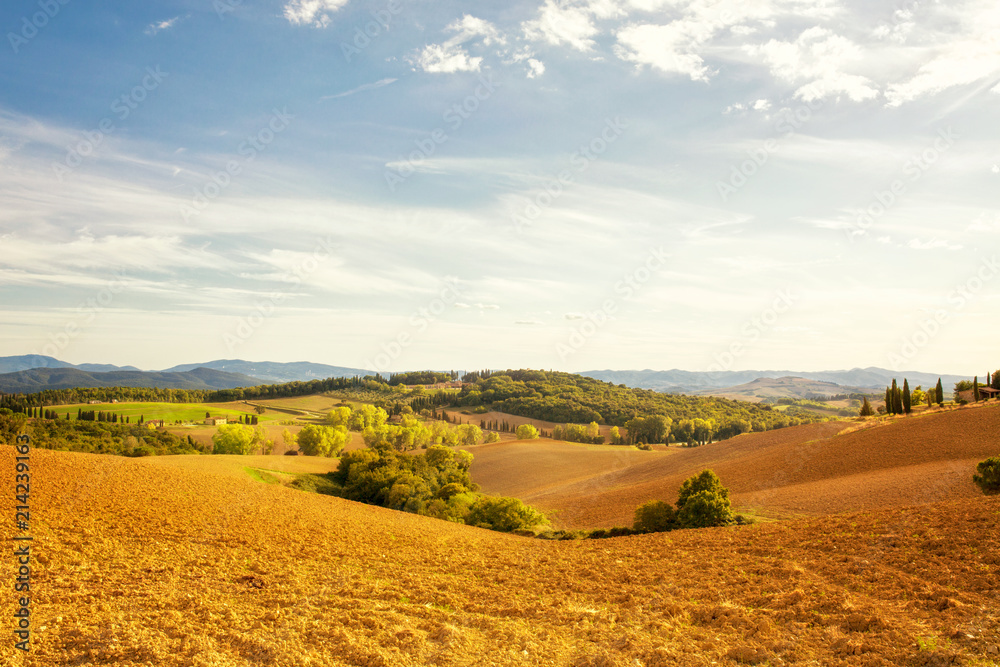 View over the beautiful agricultural / rural landscape near Volterra, Tuscany, Italy. Set in beautiful late summer sunlight. 