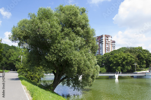 View of the lower lake of Kaliningrad on a summer day © Dugwy