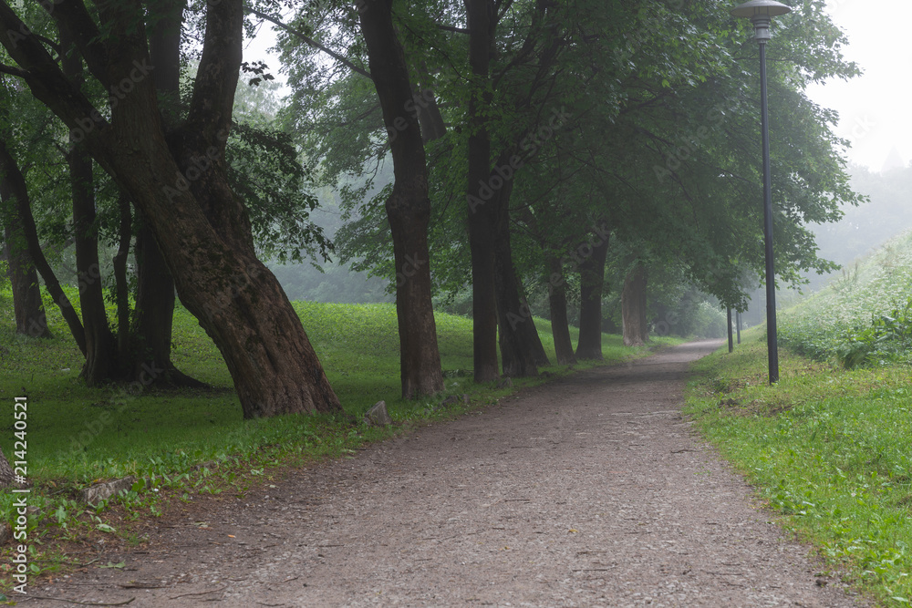 Walking path between trees and the hill with the morning mist in Toompark, Tallinn, Estonia Walking path between trees and the hill with the morning mist in Toompark, Tallinn, Estonia