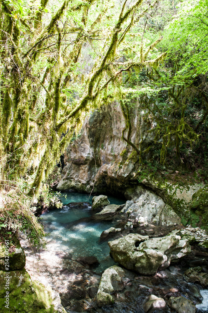 Naklejka premium Morigerati, Oasi WWF Grotte del Bussento, Parco Nazionale di Cilento, Provinz Salerno, Region Campania, Kampanien, Italien