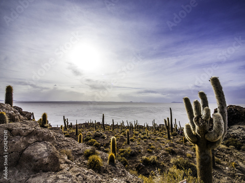 Obraz na płótnie Panoramic scenery of Cactus Island Isla Incahuasi Uyuni Bolivia w salonie