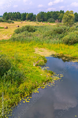 A small swampy pond with grass growing on the shore and bushes with a nearby mowed lawn with dried hay.