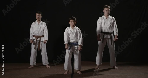 Karate kata begining Heian Nidan frontview on black 50fps