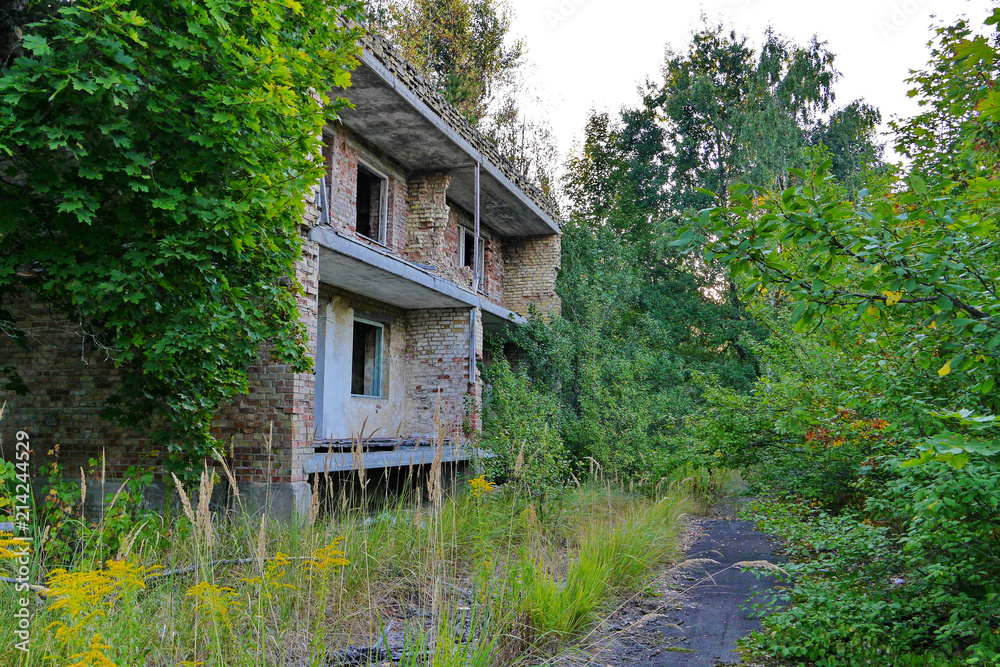 An old abandoned brick building against a background of green forest trees