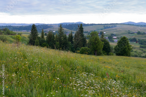 Green meadow slopes with growing wildflowers against the backdrop of houses of roofs in the valley visible in the distance © adamchuk_leo