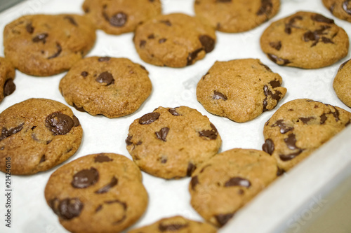 baking fresh homemade chocolate chip cookies on tray