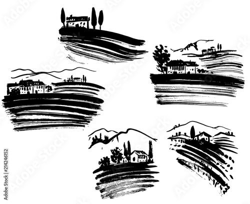 Set of vineyard landscapes