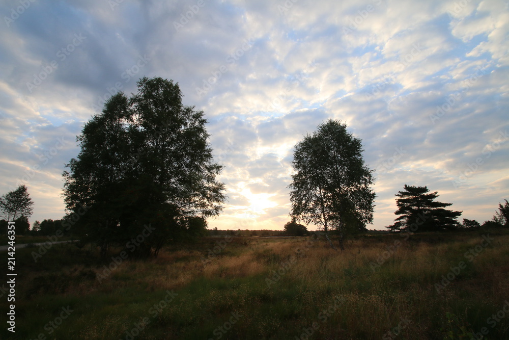 Fototapeta premium Wunderschöner Sonnenaufang über der Lüneburger Heide bei Wesel