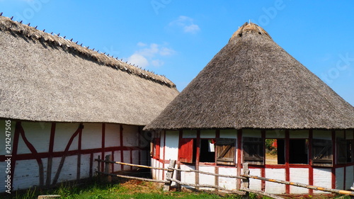 Danish farm buildings with thatched roofs