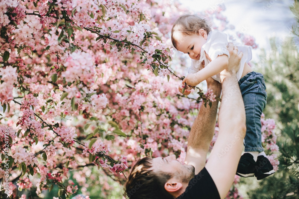 Beutifull little boy in his father hands is holding a cherry blossom branch and smiles Beutifull little boy in his father hands is holding a cherry blossom branch and smiles