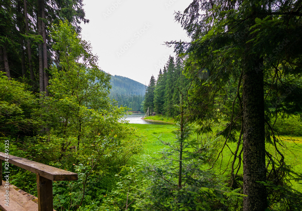 A view of the lake in the distance high green mountain. A place for family rest A view of the lake in the distance high green mountain. A place for family rest