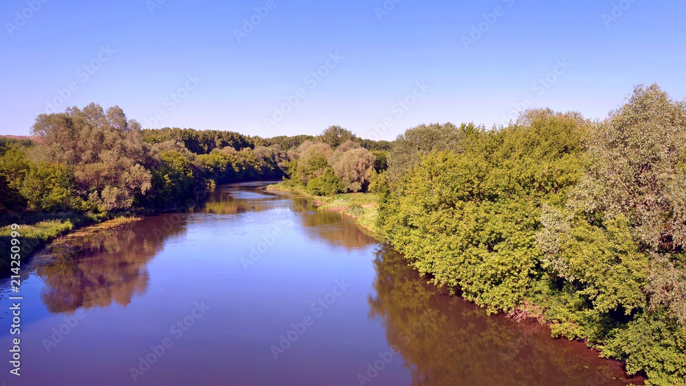 The blue river, on the banks grow trees.