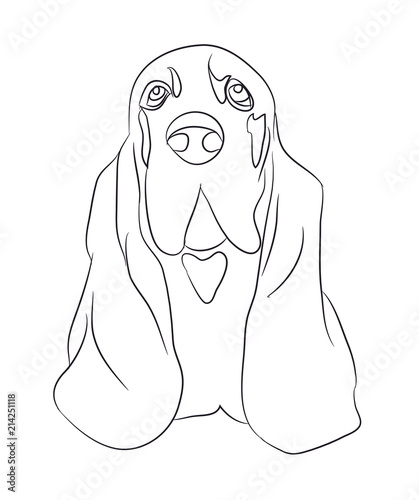 dog portrait, lines, vector