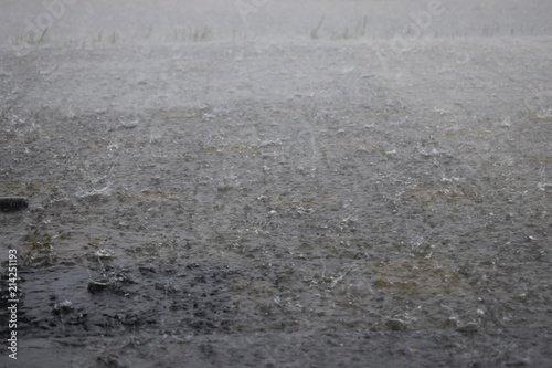 фотографія the heavy rain
