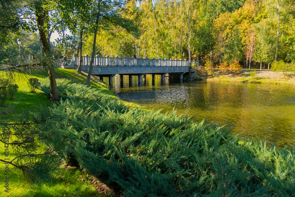 a birch grove located on a picturesque shore and a wide bridge to a non-leading