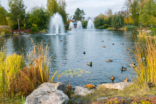 fountains over a lake with ducks in a beautiful autumn park. Mezhigirya Ukraine photo