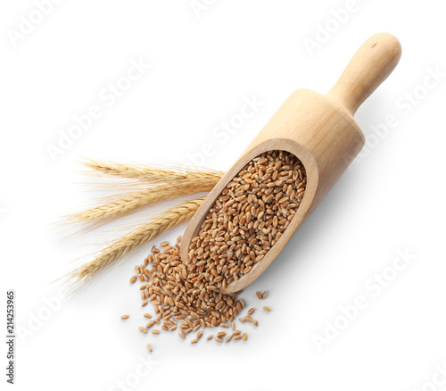 Scoop with wheat grains and spikelets on white background