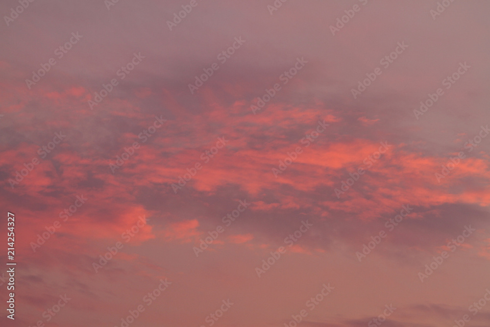 beautiful pink and purple clouds during the dawn