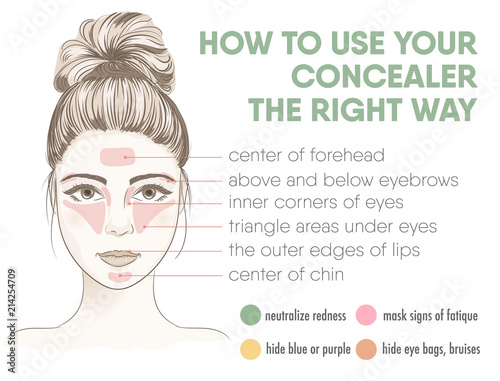 How to apply your concealer the right way infographic chart.