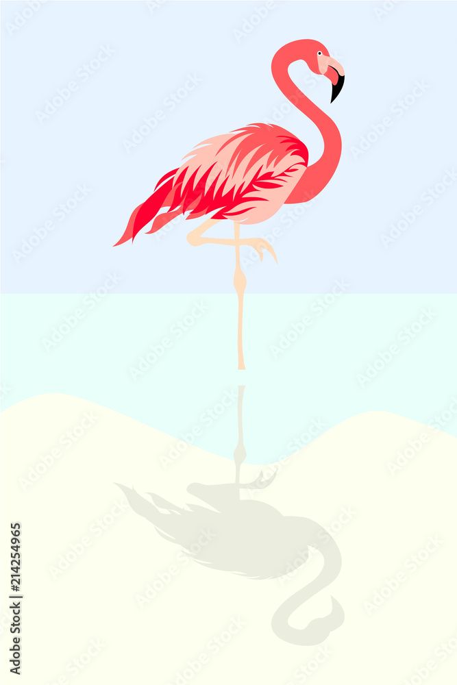 Fototapeta premium Flamingo bird vector illustration background