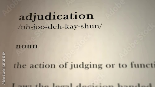 Adjudication Definition