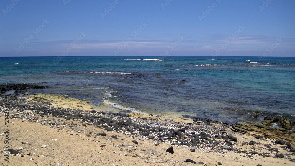 Rocky Beach with Waves