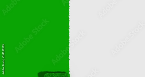 Paint roller screen transition with alpha mask
