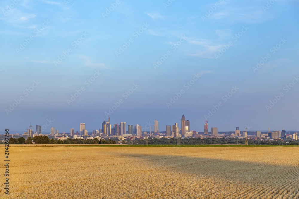view to skyline of Frankfurt am Main with golden harvested field