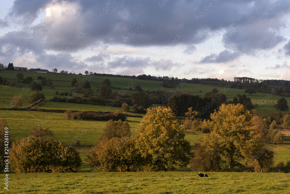 Fototapeta premium Landscape near Stavelot