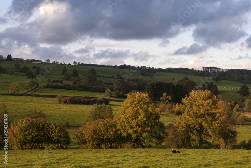 Landscape near Stavelot photo