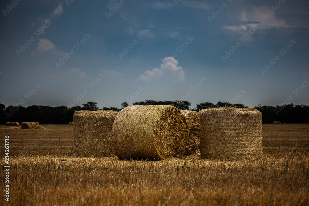 stack of hay at the field