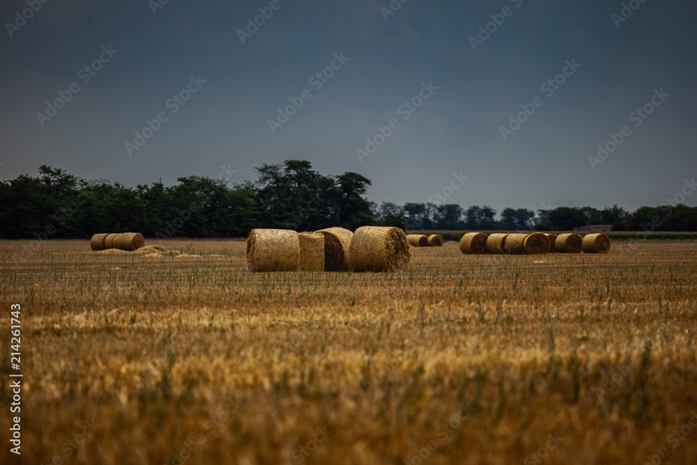 Fototapeta premium stack of hay at the field