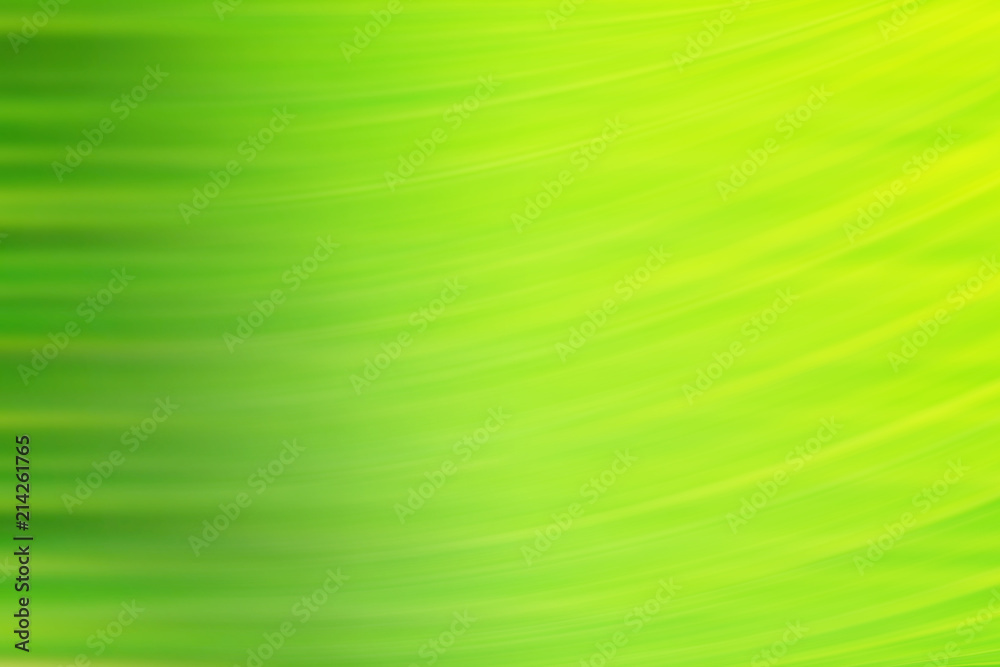 spring light green blur background, glowing blurred design, summer  background for design wallpaper Stock Photo | Adobe Stock