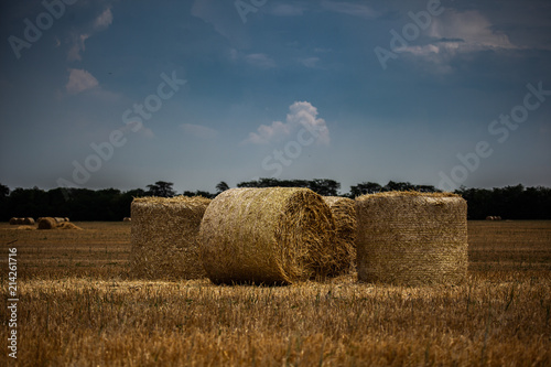 stack of hay at the field