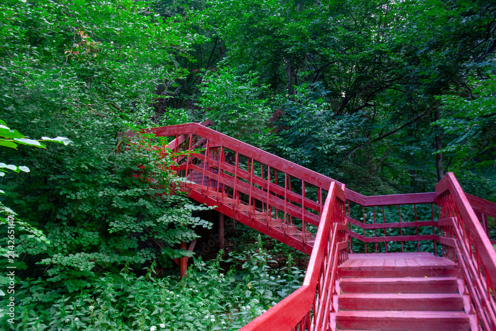 Ladder from the ravine in the park Ladder from the ravine in the park