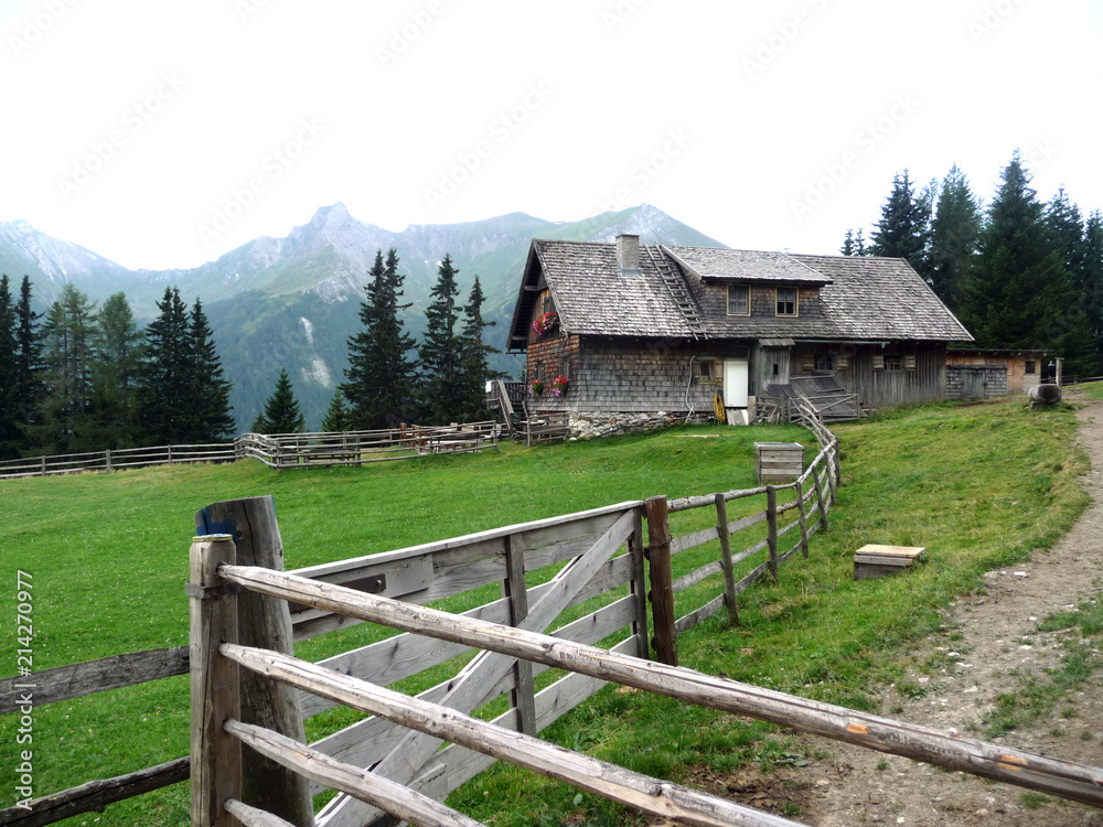 The Alpisi Farm. Mountain cafe. A wooden hut. Green meadow. The Alpisi Farm. Mountain cafe. A wooden hut. Green meadow.