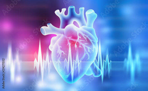 Fotografie, Obraz Human heart. 3D illustration on a medical background