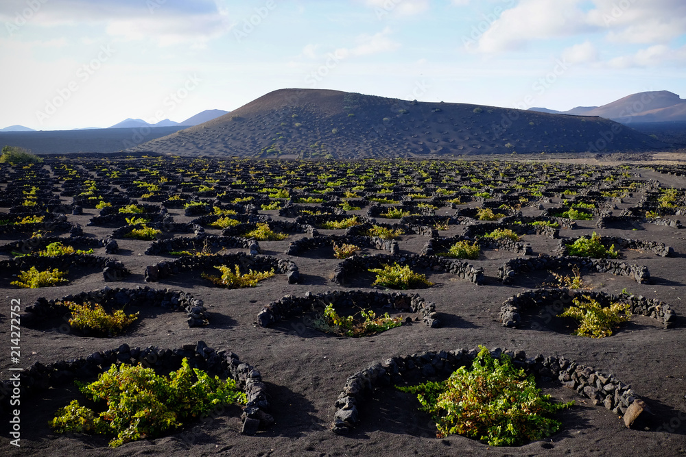 Φωτογραφία Vignobles, La Geria, Lanzarote