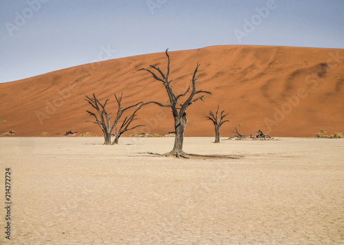 Death Vlei Sossusvlei Namibia