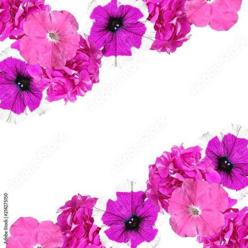Fototapeta Naklejka Na Ścianę i Meble -  Beautiful floral background of petunias and pelargoniums 