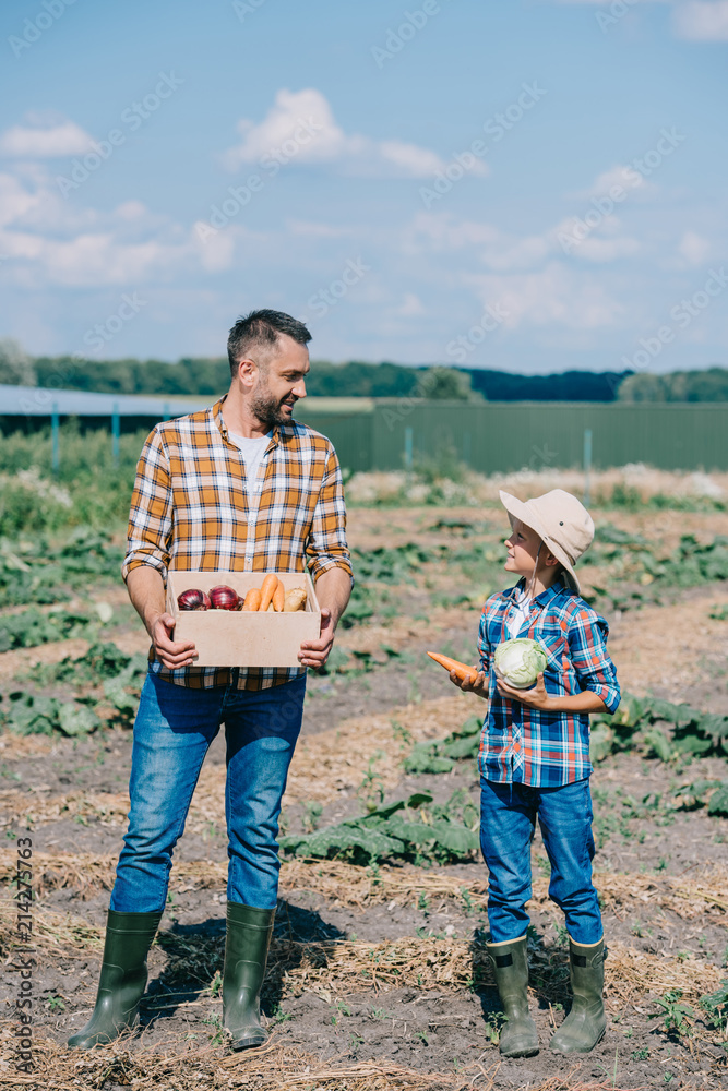 Fototapeta premium happy father and son holding ripe vegetables and smiling each other in field
