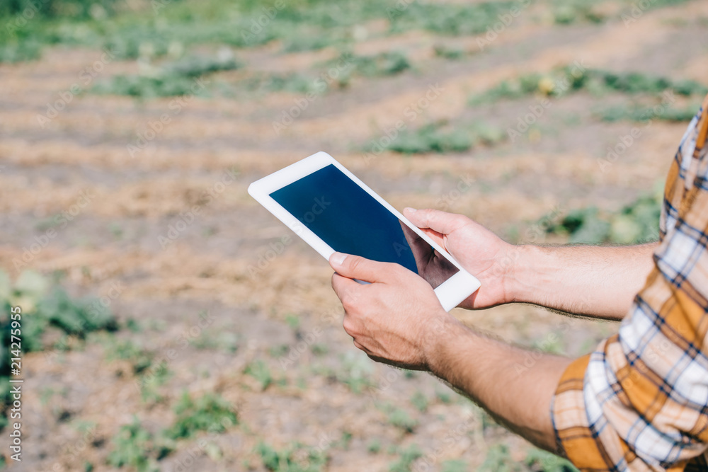 cropped shot of farmer using digital tablet with blank screen while standing on field