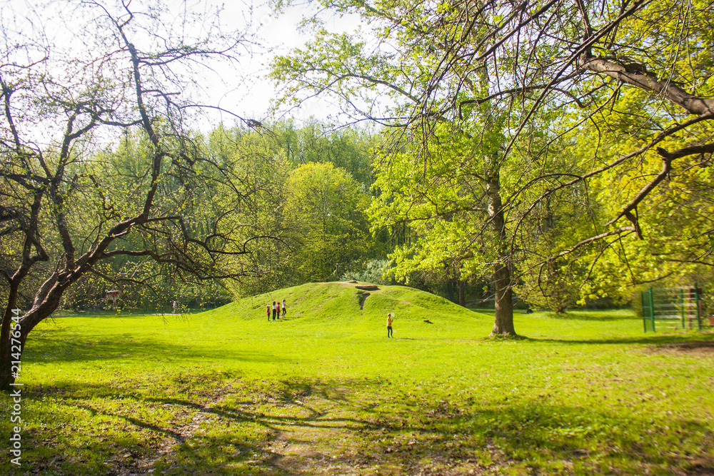 Fototapeta premium Parks Russia Summer