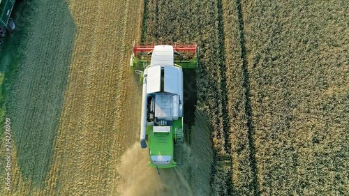 4K aerial footage of combine harvester harvesting wheat at sunset