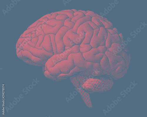 Monochrome drawing brain vintage style