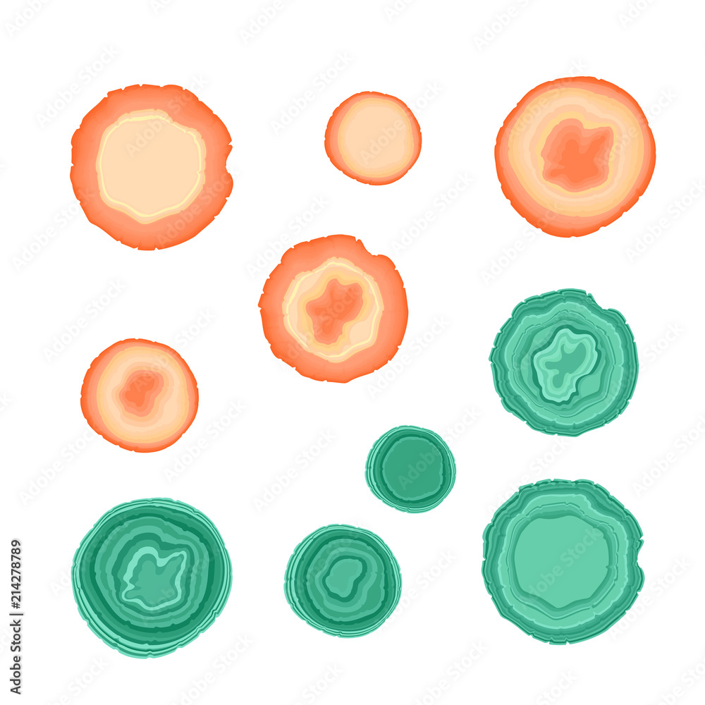 Vector Set orange and green stone illustration isolated on white background Vector Set orange and green stone illustration isolated on white background